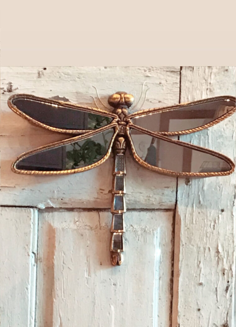 deco murale libellule miroir