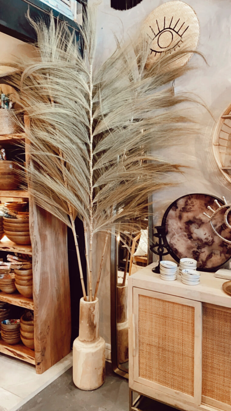 tropical feuillage