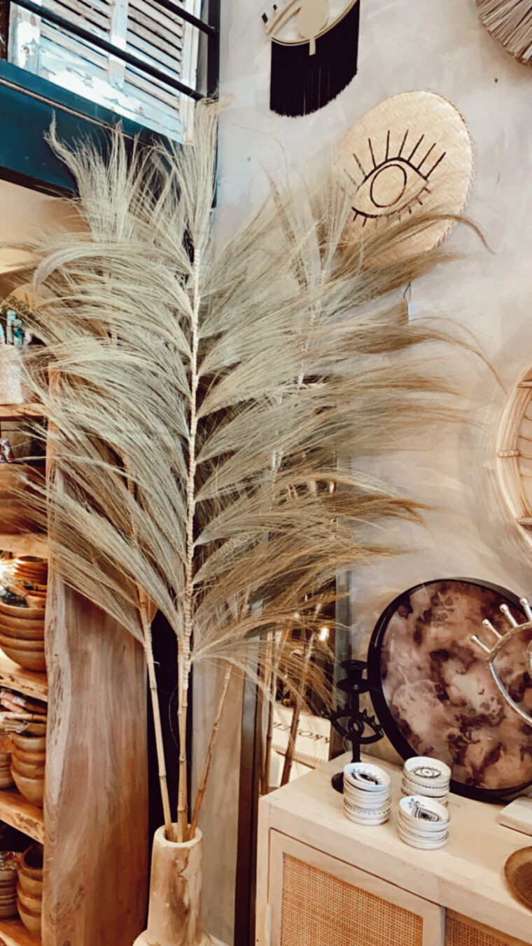 tropical feuillage