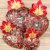 Ex voto miracoli rouge