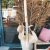 Porte manteau en bois d’eucalyptus 190 hauteur RETRAIT MAGASIN