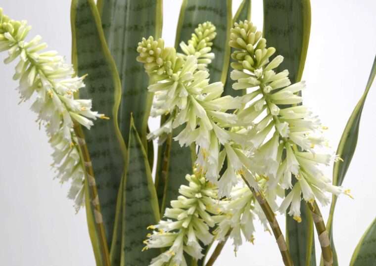 KNIPHOFIA JADE fleurs artificielles bouquet