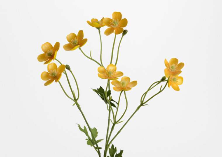 bouton d'or fleurs artificielles bouquets