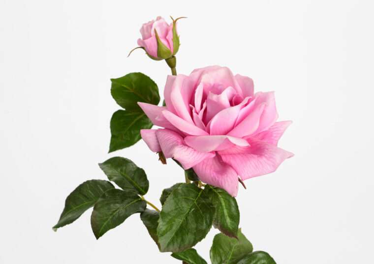rose melody reality fleurs artificielles bouquet