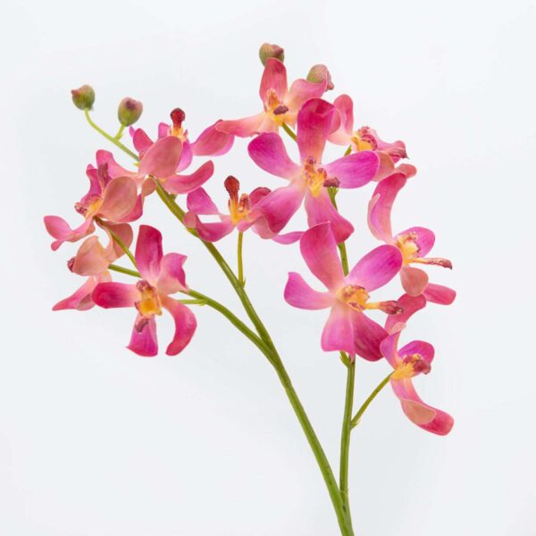 ORCHI VANDA LAMELLATA fleurs artificielles réalistes bouquets