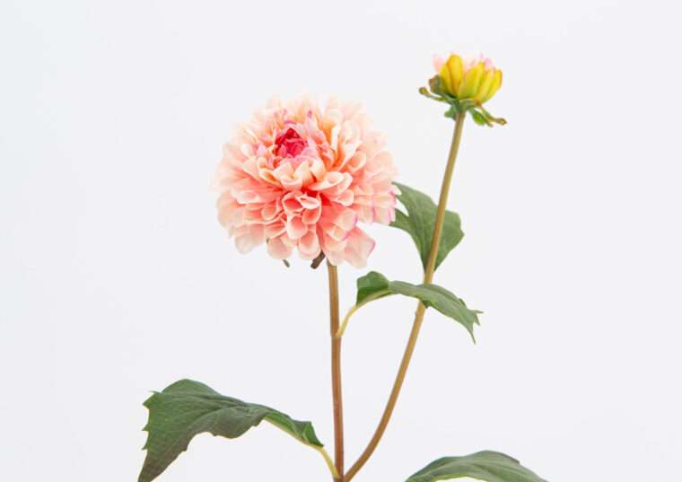 DAHLIA POMPON fleurs artificielles