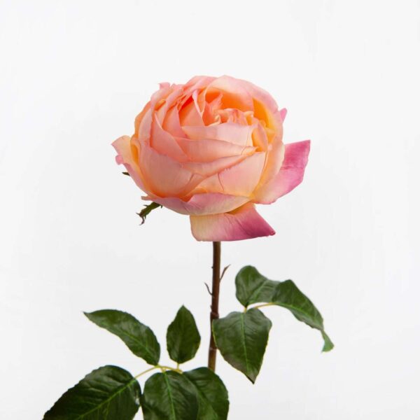 rose capella fleurs artificielles bouquets
