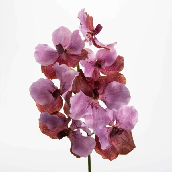 VANDA ROTHSCHIL DIANA fleurs artificielles