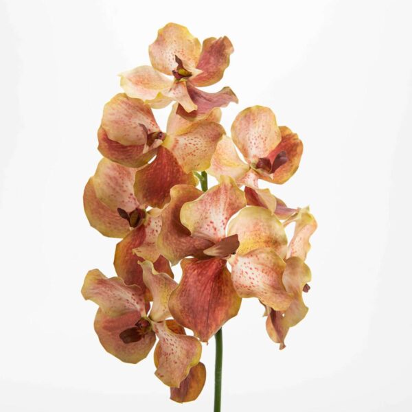 VANDA ROTHSCHIL DIANA fleurs artificielles