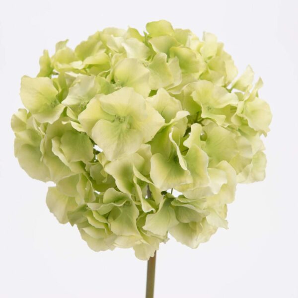 HORTENSIA ALTONA vert fleurs artificielles bouquet
