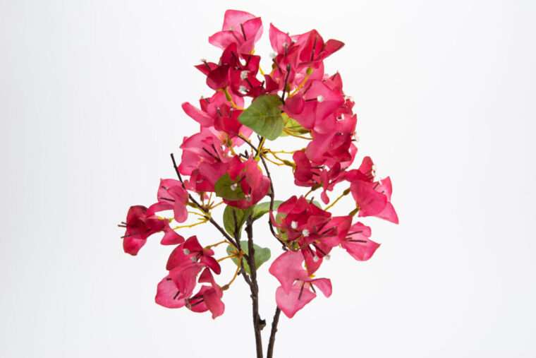 BOUGAINVILLIER MODESTA fleurs artificielles