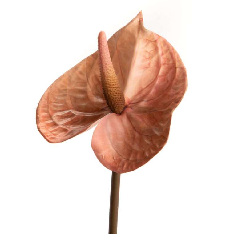 ANTHURIUM ALICIA fleurs artificielles