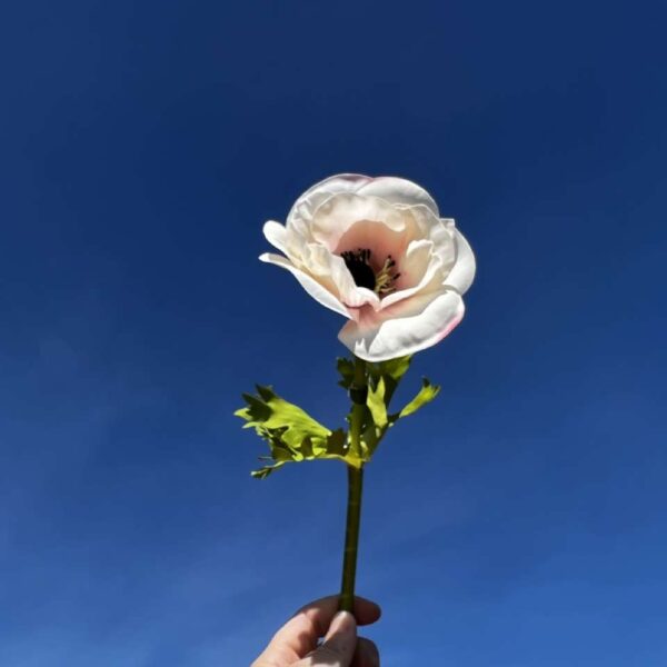 ANEMONE COURONNE REALITY ivoire H 44cm