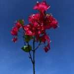 BOUGAINVILLIER MODESTA fleurs artificielles