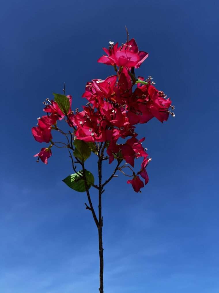 BOUGAINVILLIER MODESTA fleurs artificielles