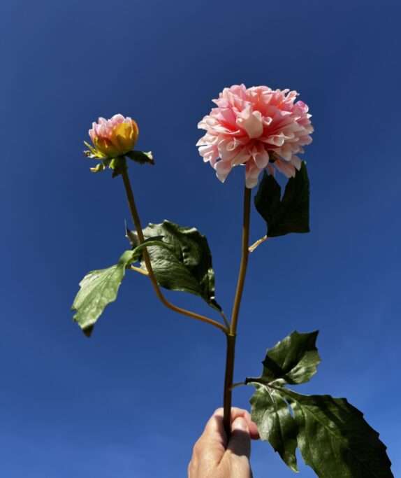 DAHLIA POMPON fleurs artificielles