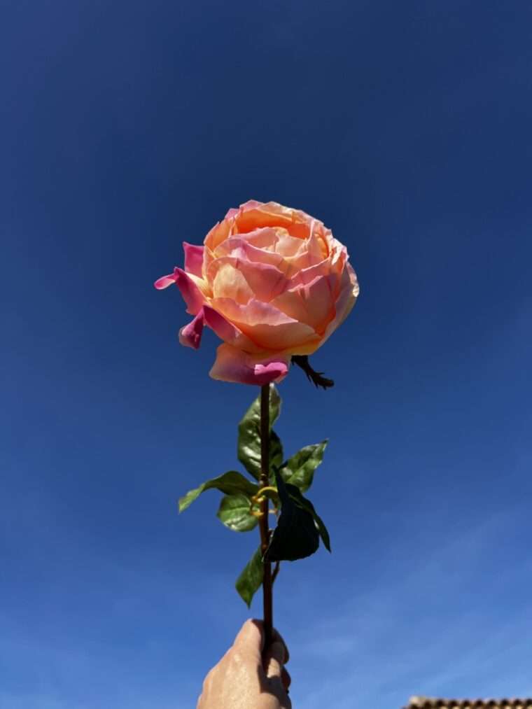 rose capella fleurs artificielles bouquets