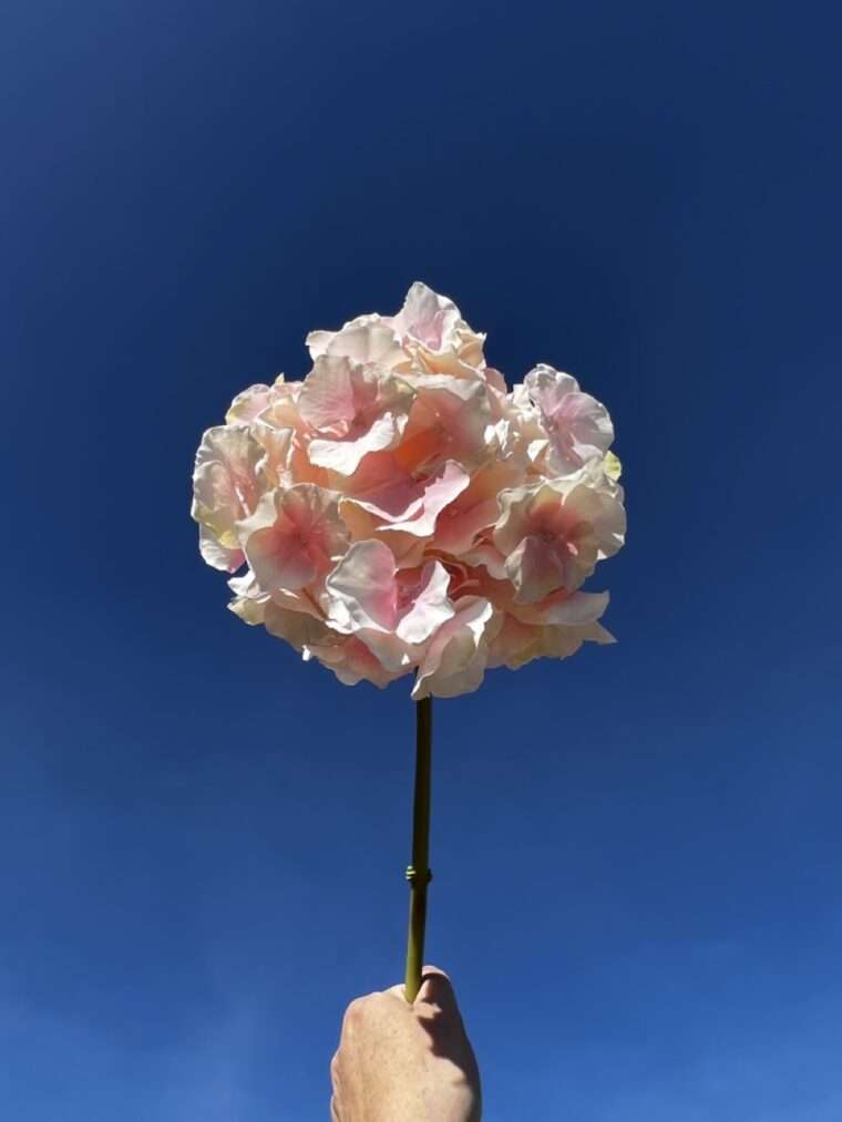 HORTENSIA ALTONA rose fleurs artificielles