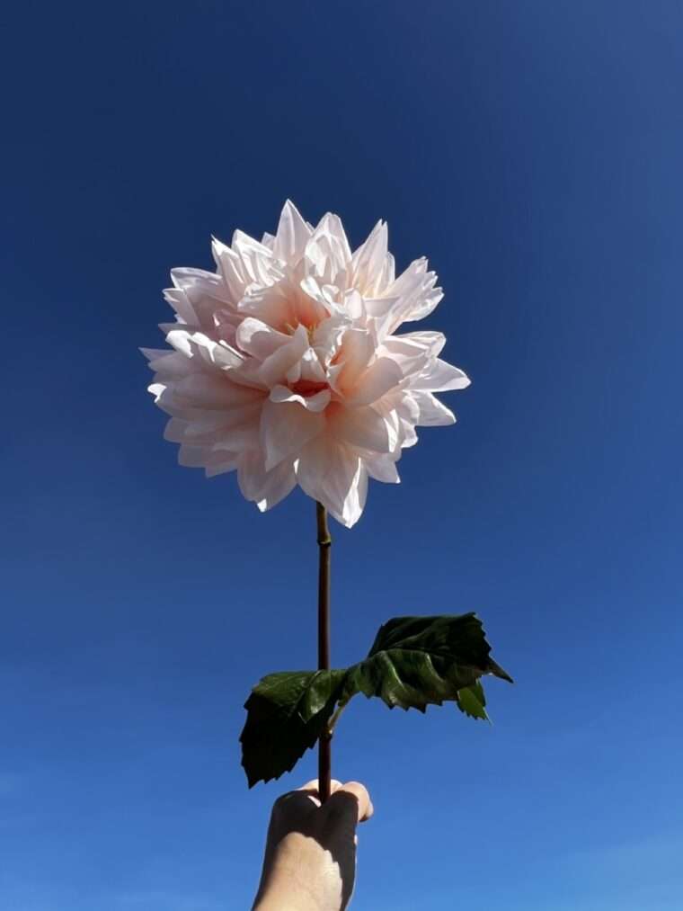 DAHLIA ISLANDER fleurs artificielles