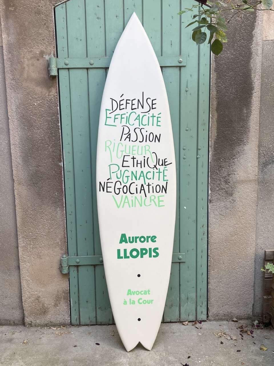 Planche Personnalisée (logo / graphisme spécial) – Image 16