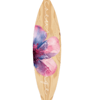 Planche « Hibisca » (maquette)