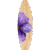 Planche « Purple » (maquette)